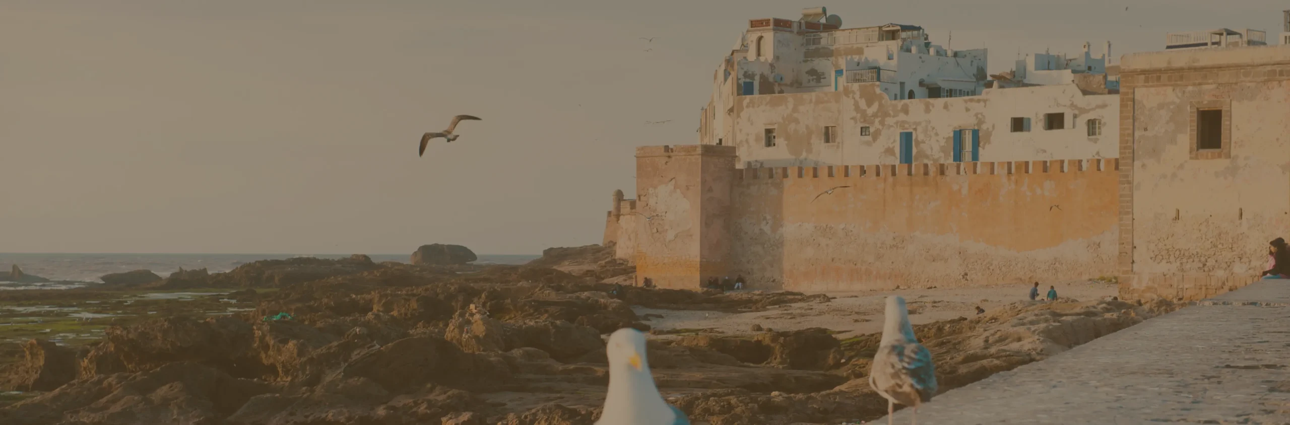Essaouira – L’Évasion Atlantique