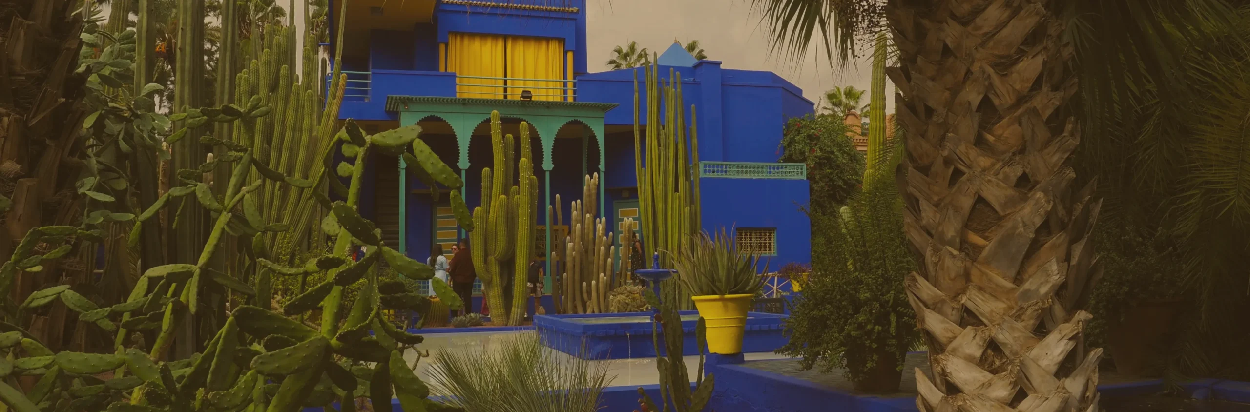 Les jardins exotiques et les remparts de Marrakech