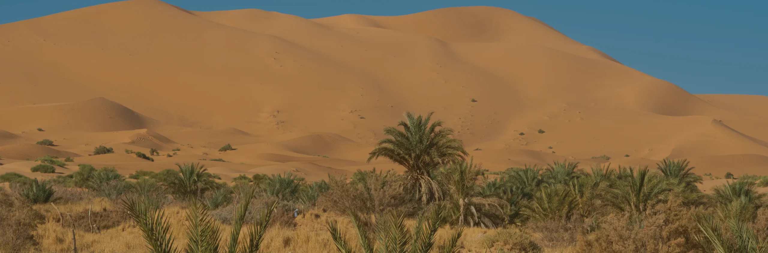 Une immersion unique – Le Sahara pour vivre la magie du désert marocain 